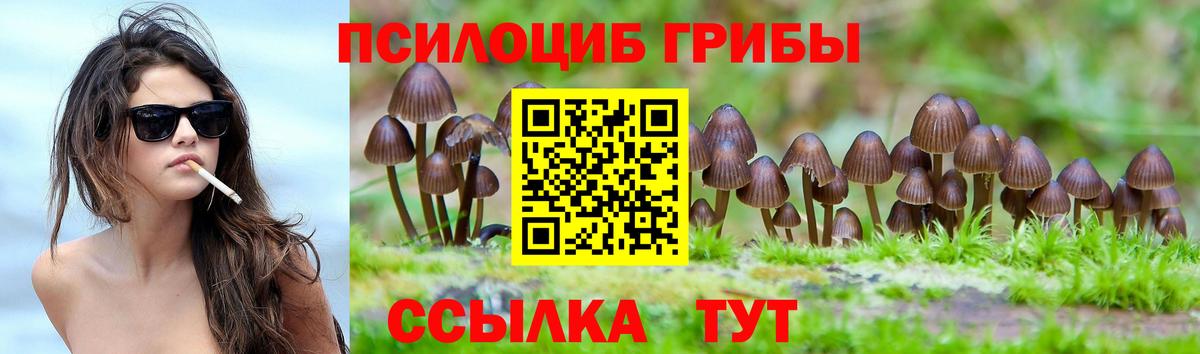 Псилоцибиновые грибы мухоморы Новотроицк